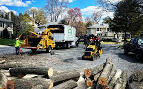 Best Grass Overseeding  in Monrovia, MD